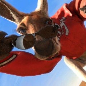 Meet your Posher, Luke